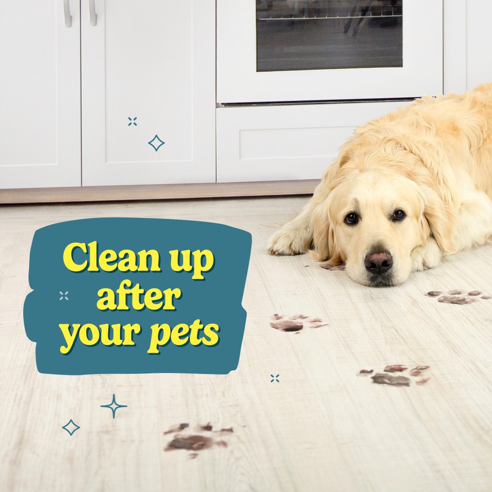 Clean up after your pets