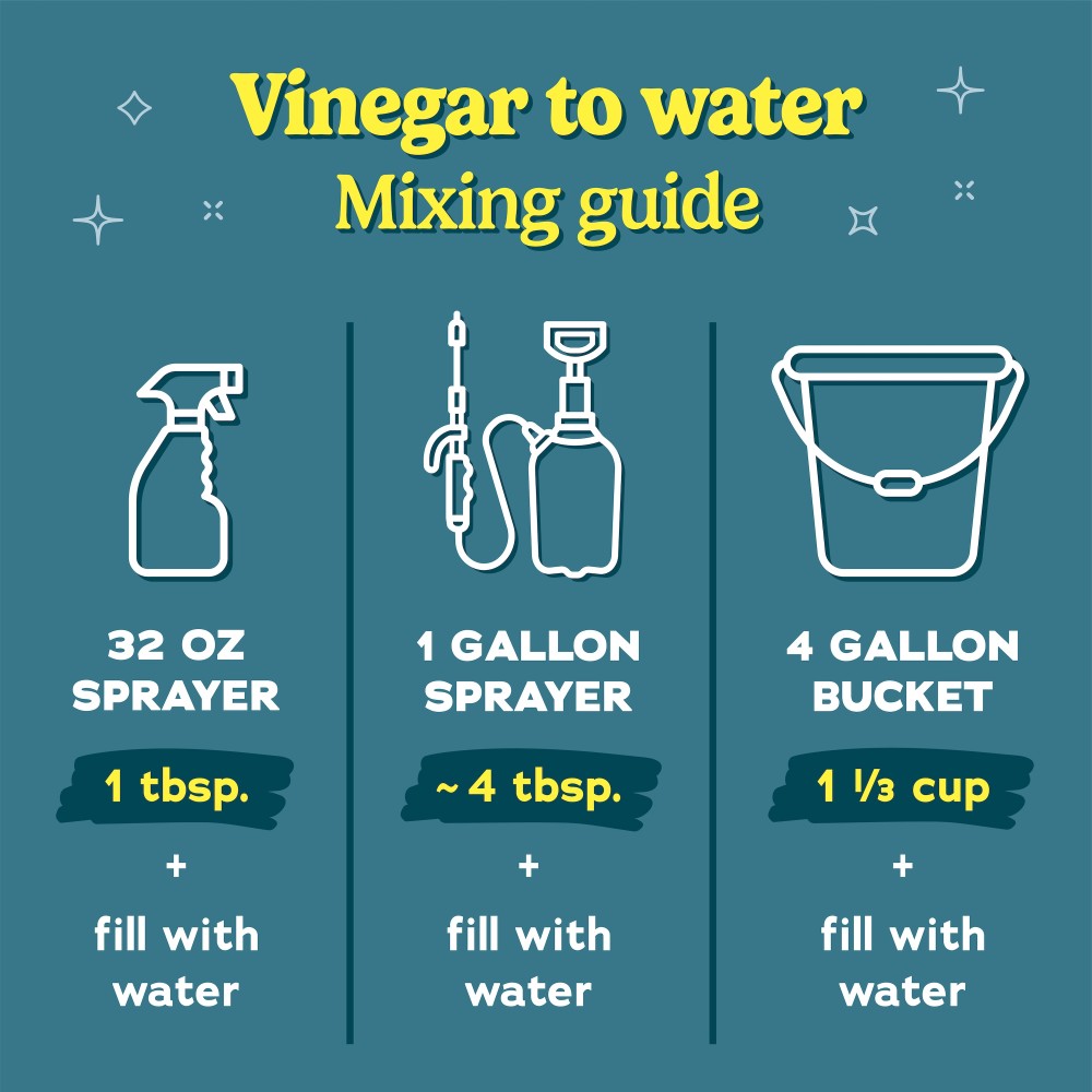 Vinegar to water mixing guide